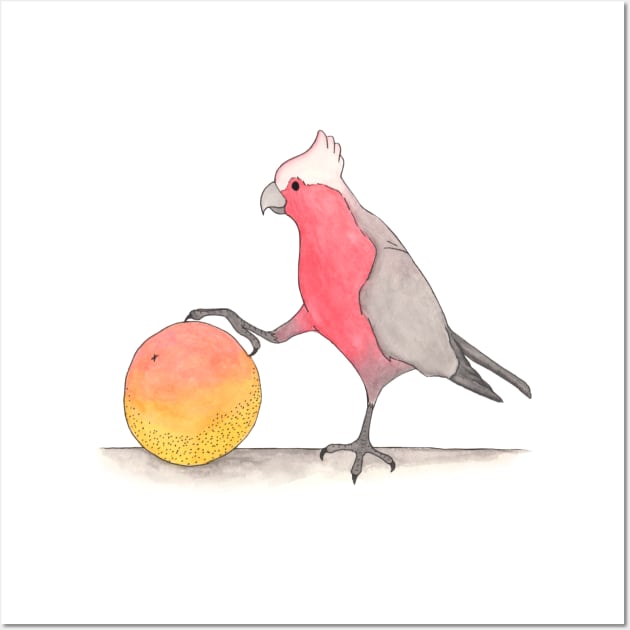 G is for Galah Wall Art by thewatercolorwood